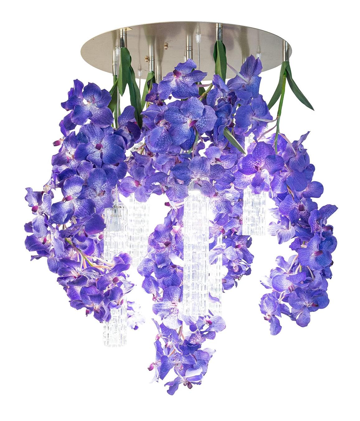 Vanda Large Kronleuchter