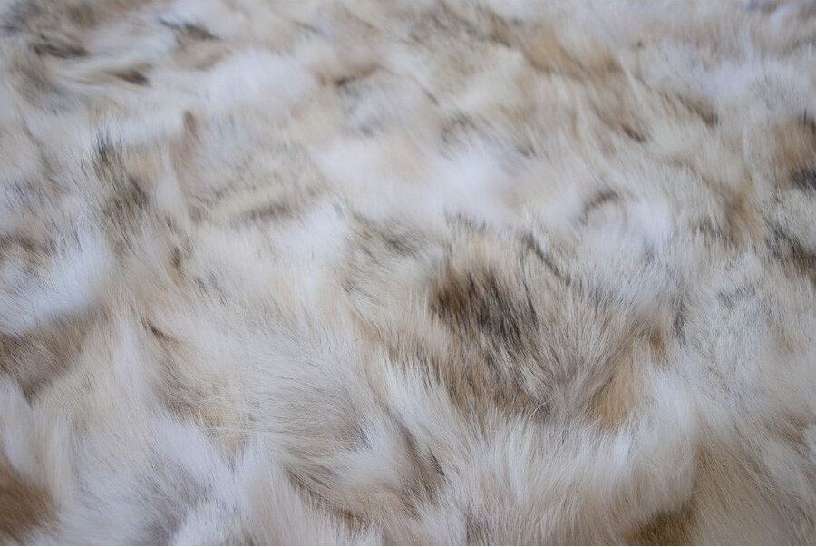 Wolf 840 Teppich | Größe: 270 x 360 cm