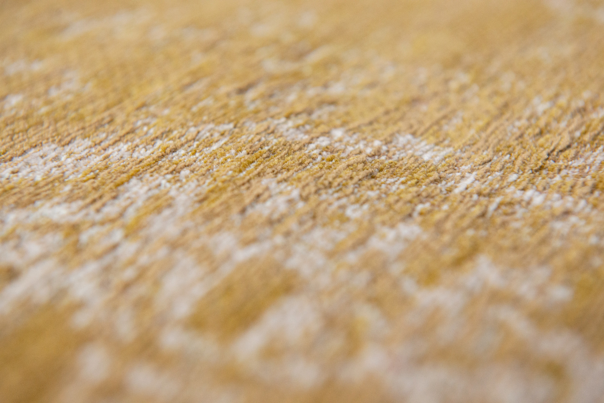 Spring Moss 9145 Teppich | Größe: 170 x 240 cm