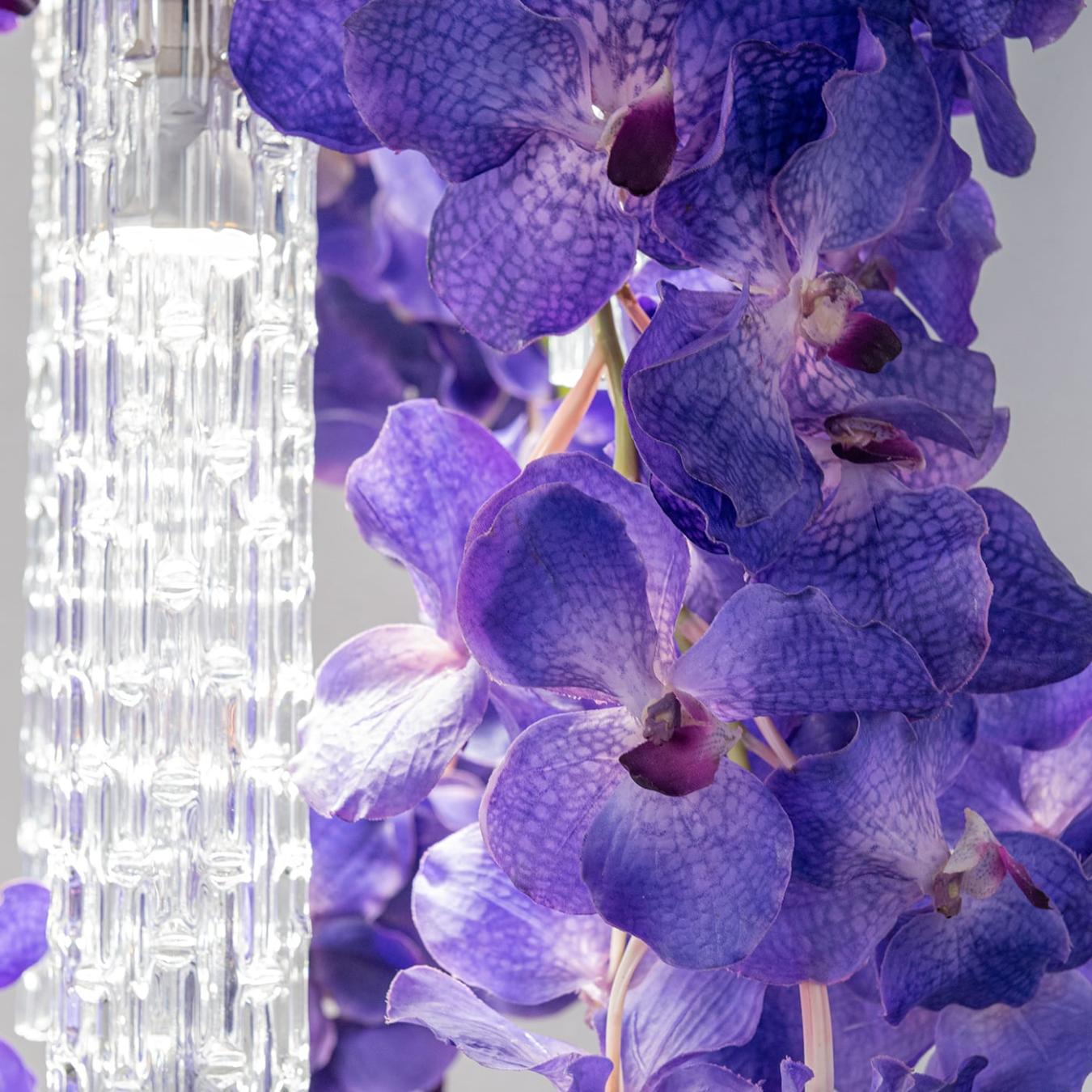 Vanda Small Kronleuchter