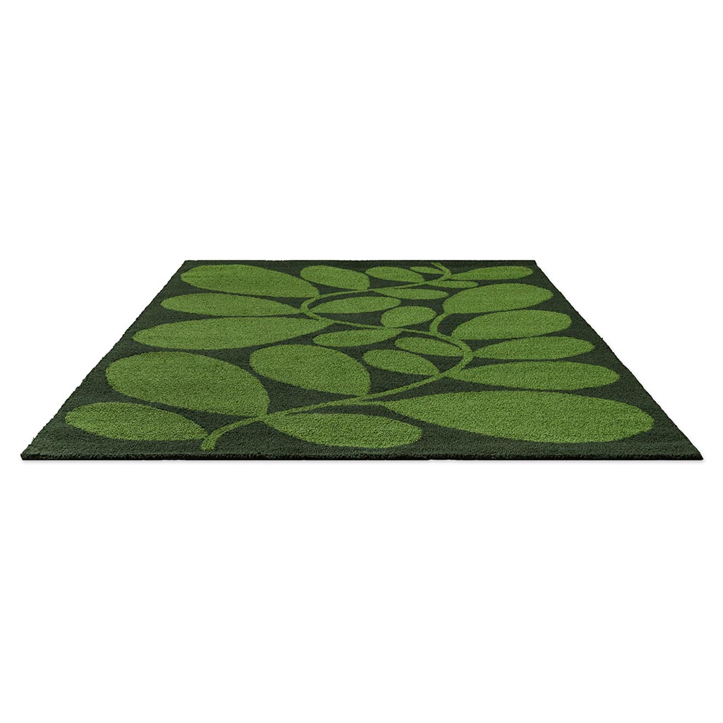 Sycamore Dill Outdoor-Teppich | Größe: 250 x 350 cm