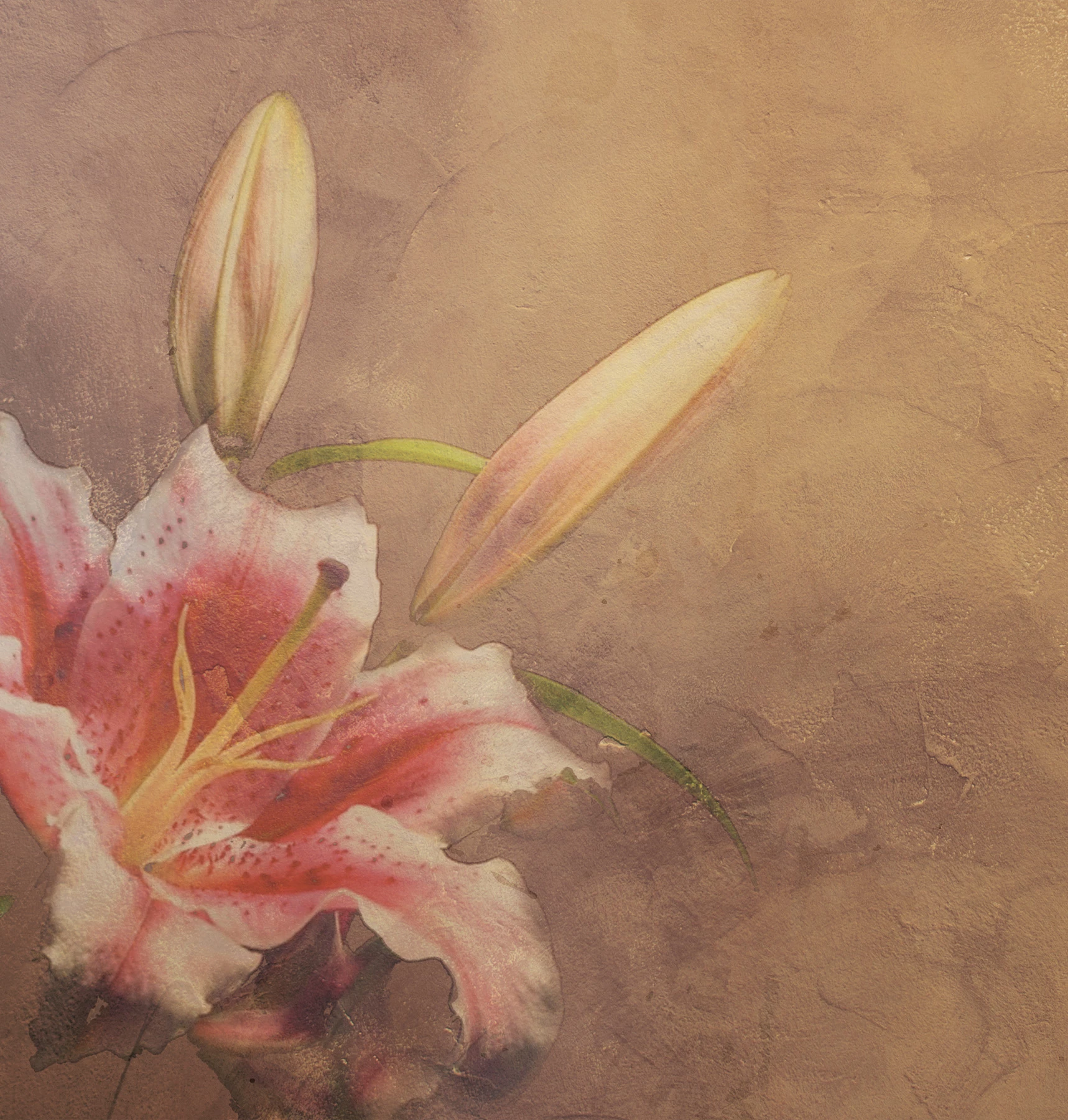 Amaryllis Tapete