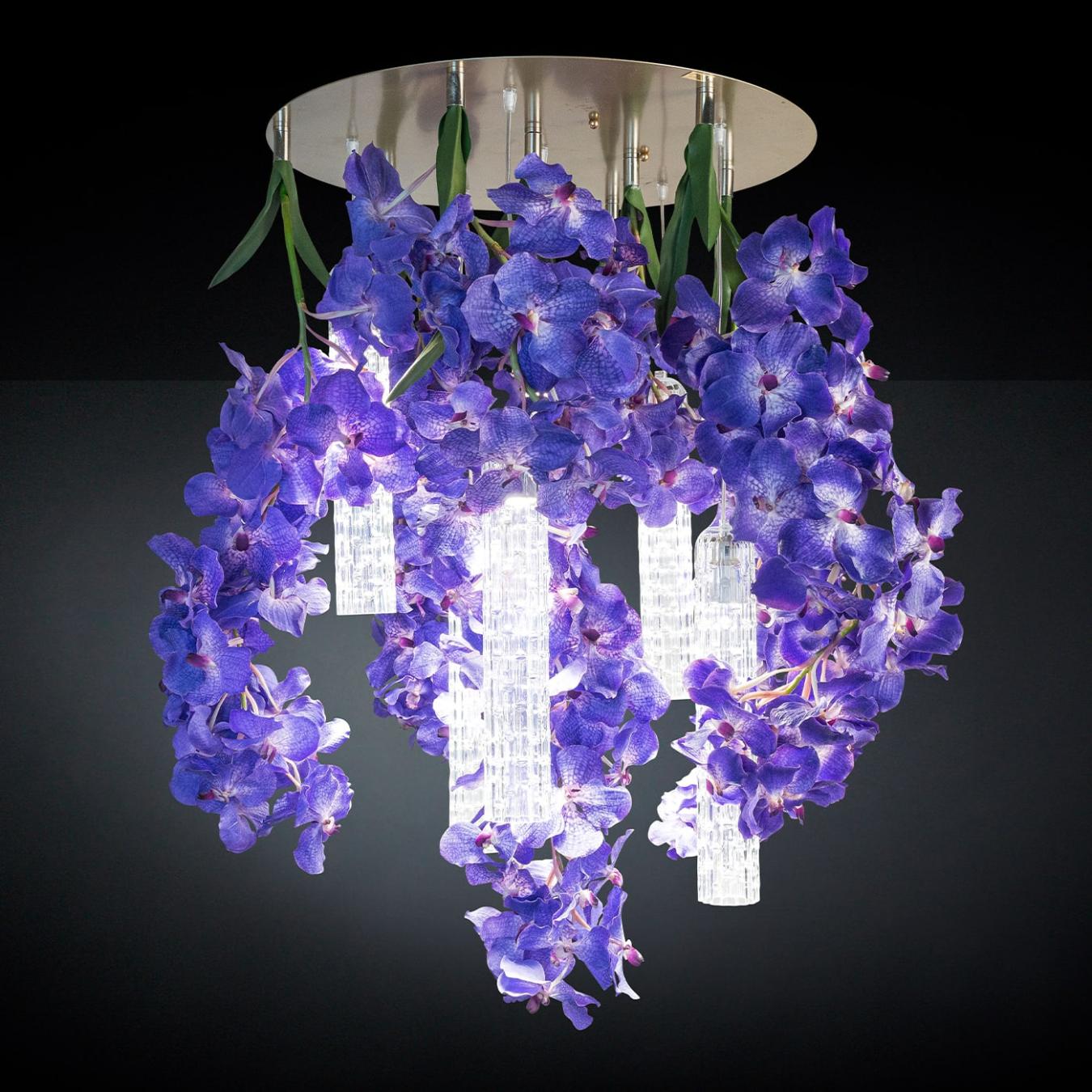 Vanda Large Kronleuchter