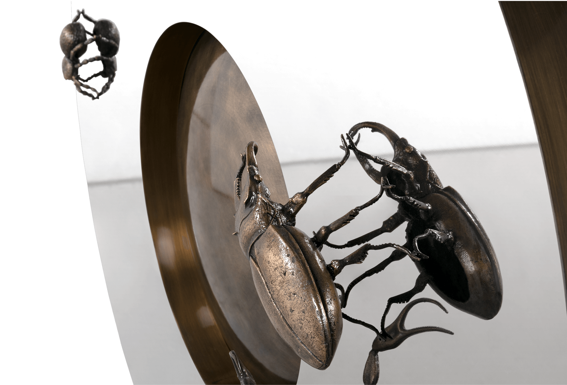 Evolution Konsole