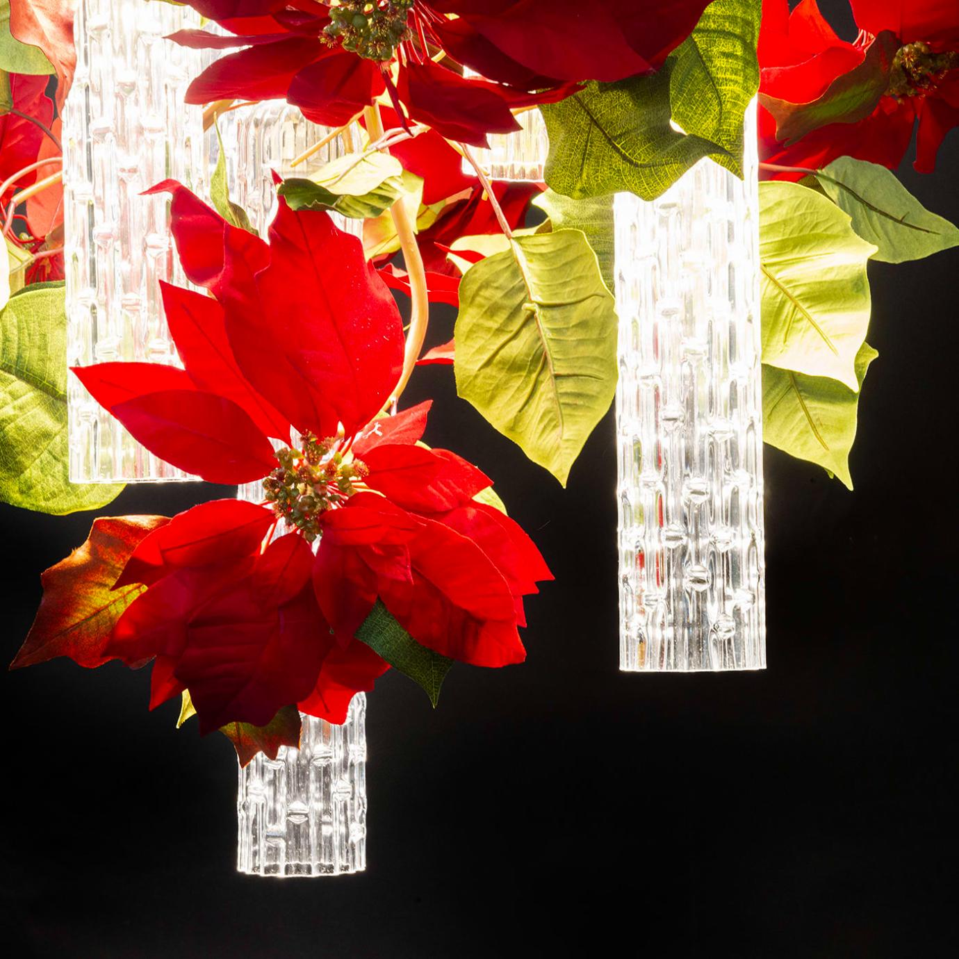 Poinsettia Kronleuchter