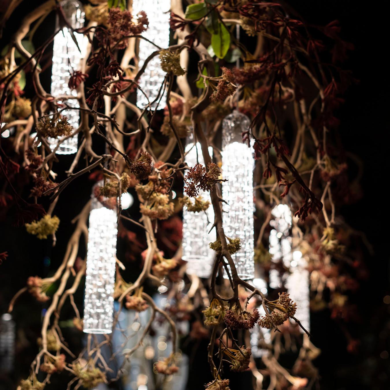 Manzanita Kronleuchter
