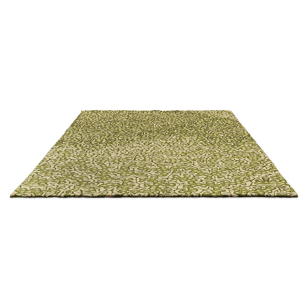 Truffle Olive Outdoor-Teppich | Größe: 160 x 230 cm