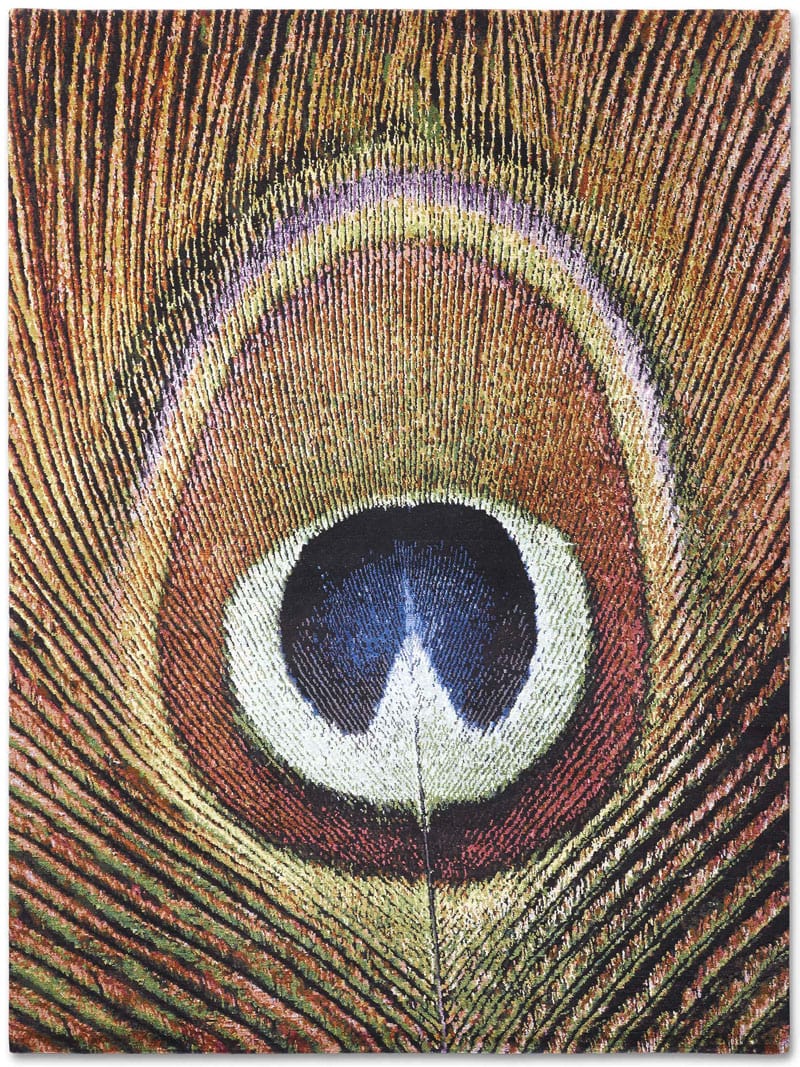 Feathers Mr Big Original auf Schwarz Teppich | Größe: 305 x 427 cm