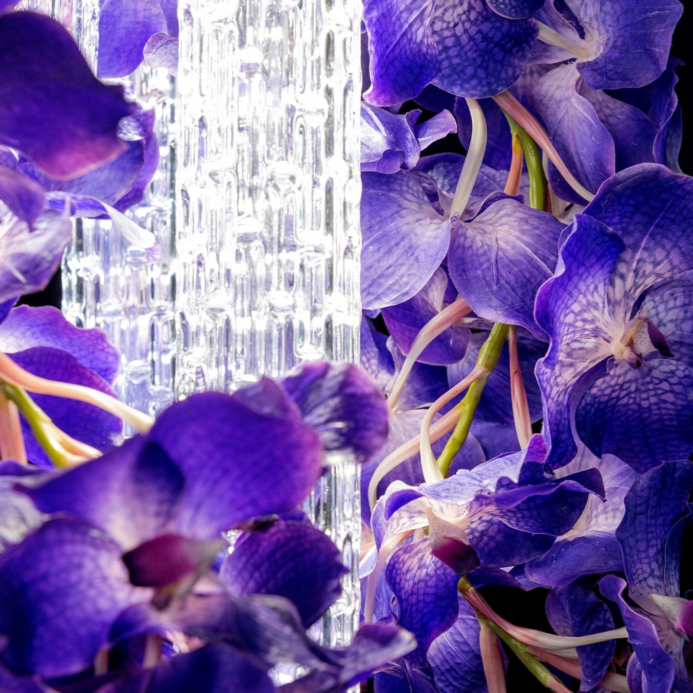 Vanda Square Kronleuchter