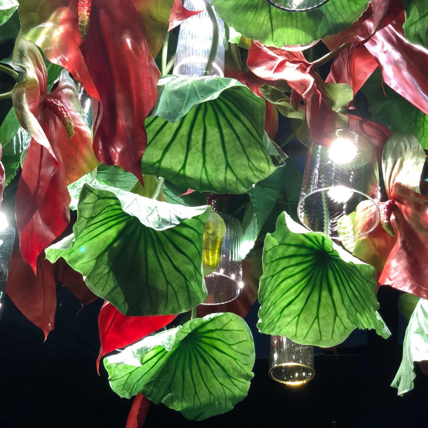 Anthurium Kronleuchter