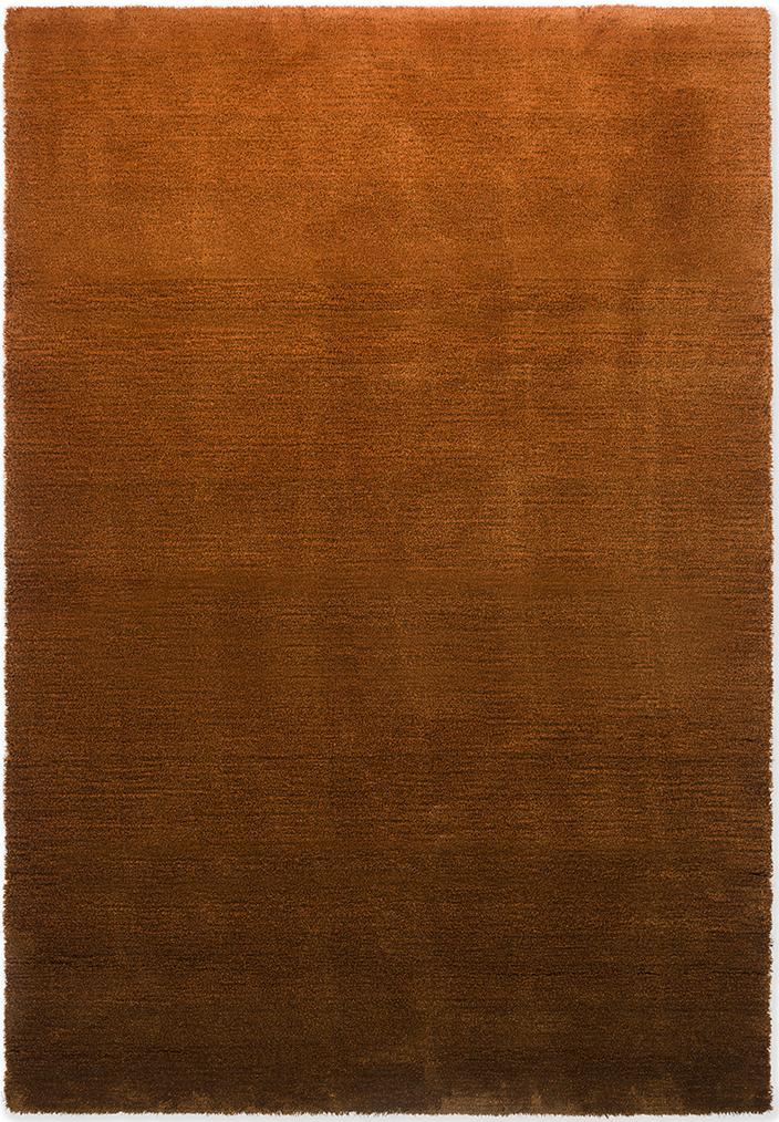 Shade Low Umbra/Tabak 010103 Teppich | Größe: 170 x 240 cm