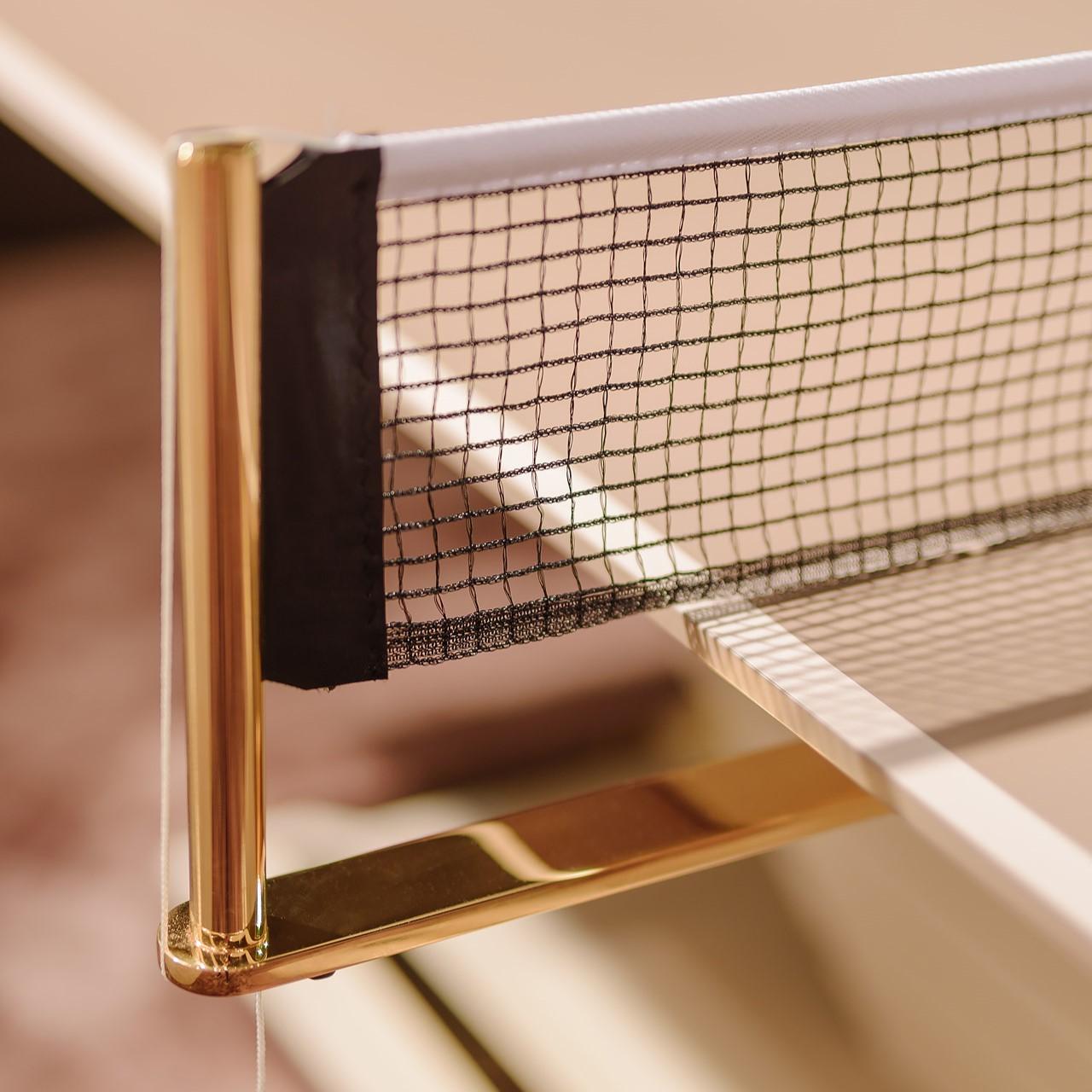 Arena Tischtennisplatte