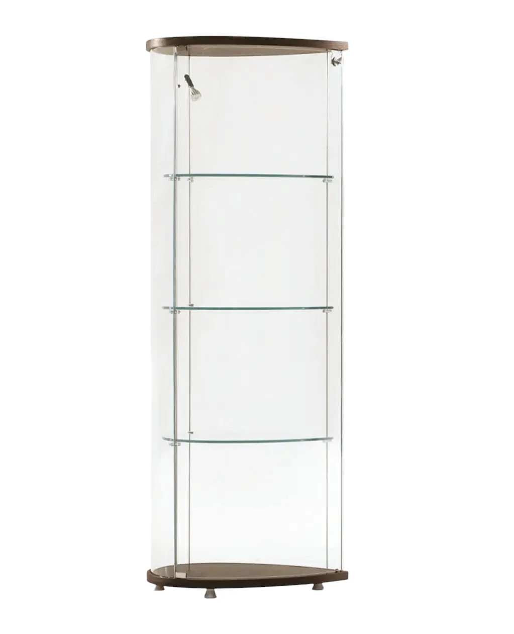 Olivella Vitrine