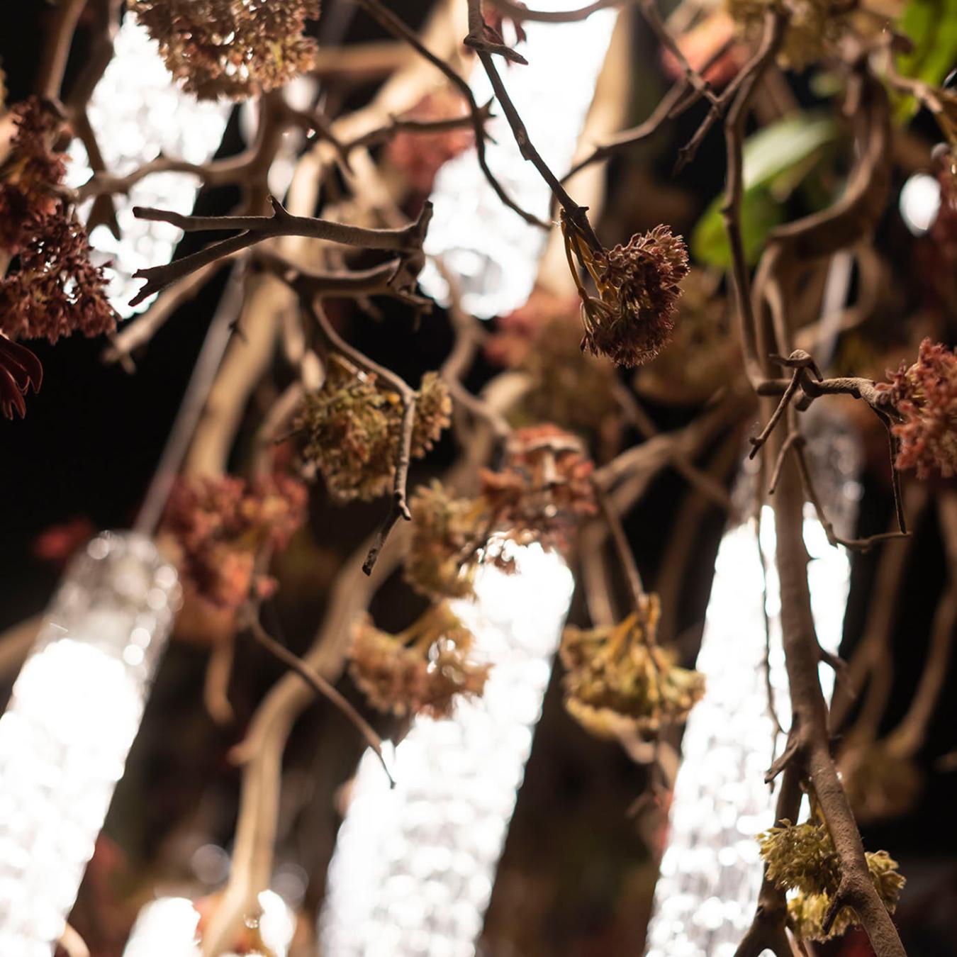 Manzanita Kronleuchter