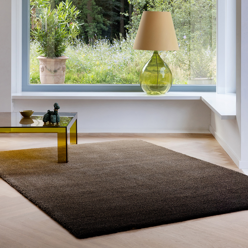 Shade Low Beige/Dunkle Schokolade 010101 Teppich | Größe: 200 x 300 cm
