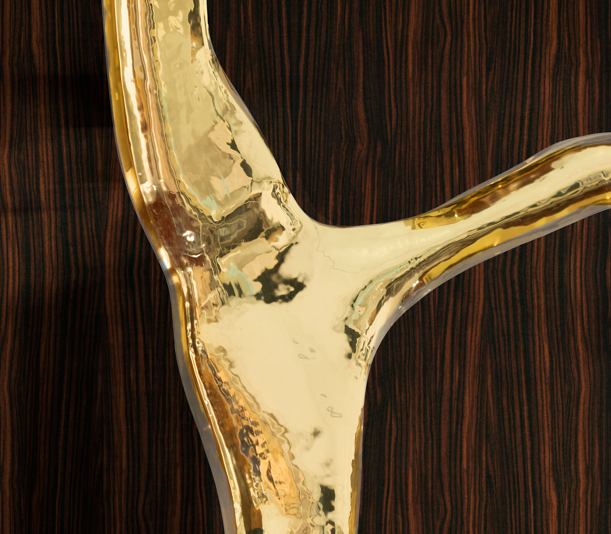 Fissure Ebenholz‑Schrank