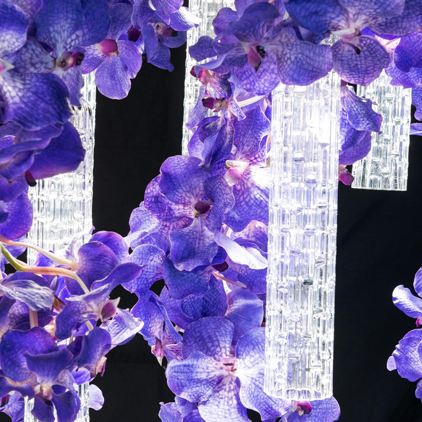 Vanda Large Kronleuchter