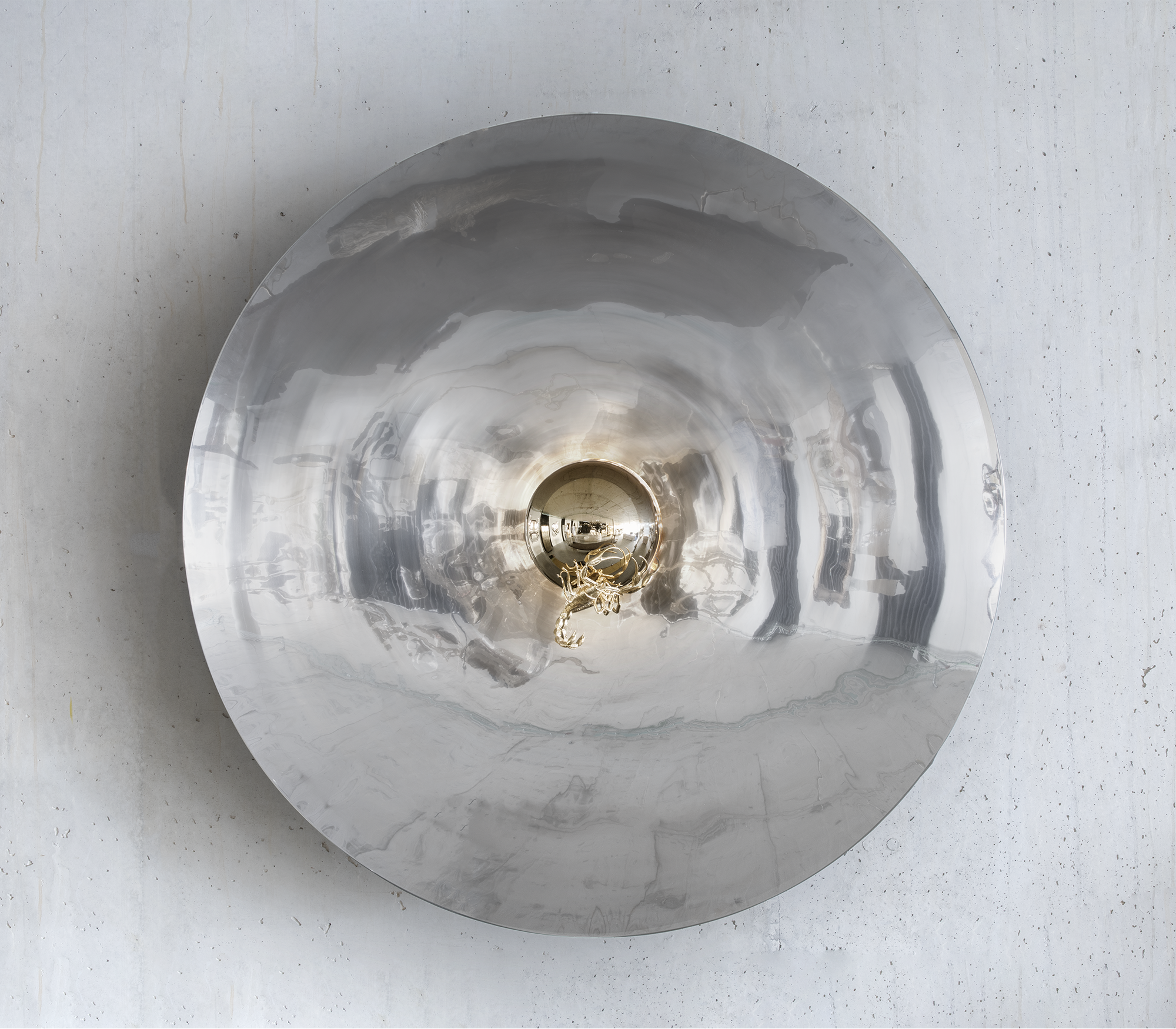 Evolution Reflection Spiegel