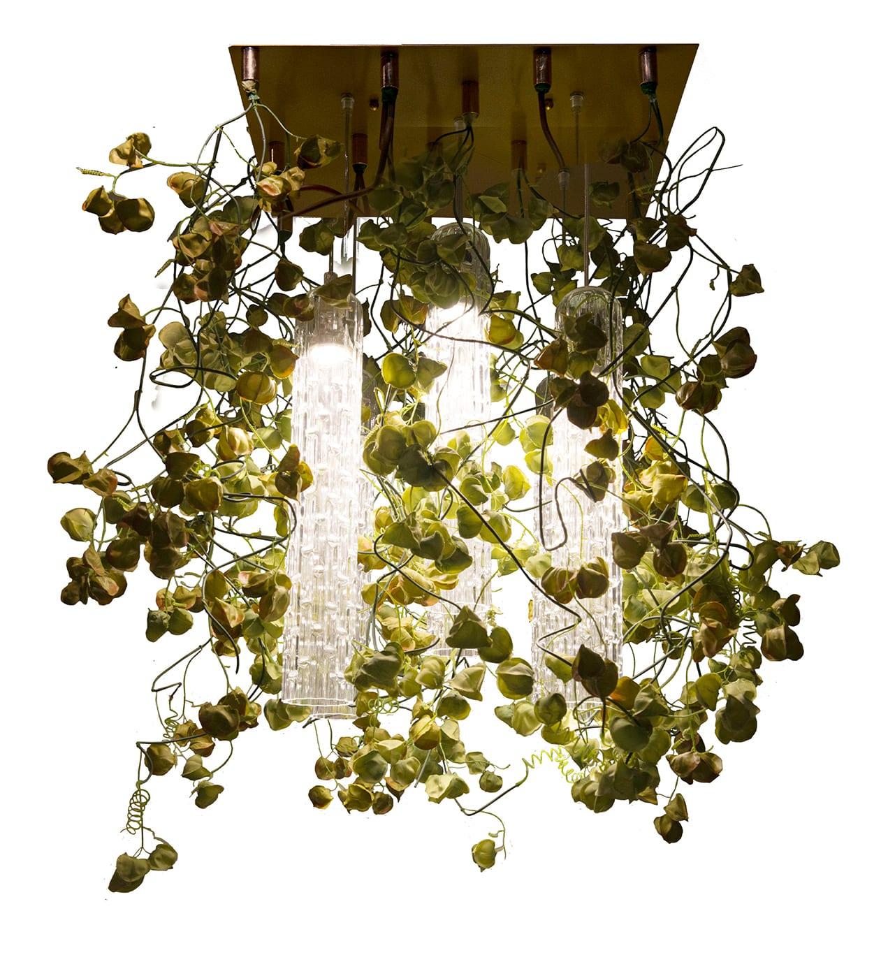 Physalis Kronleuchter