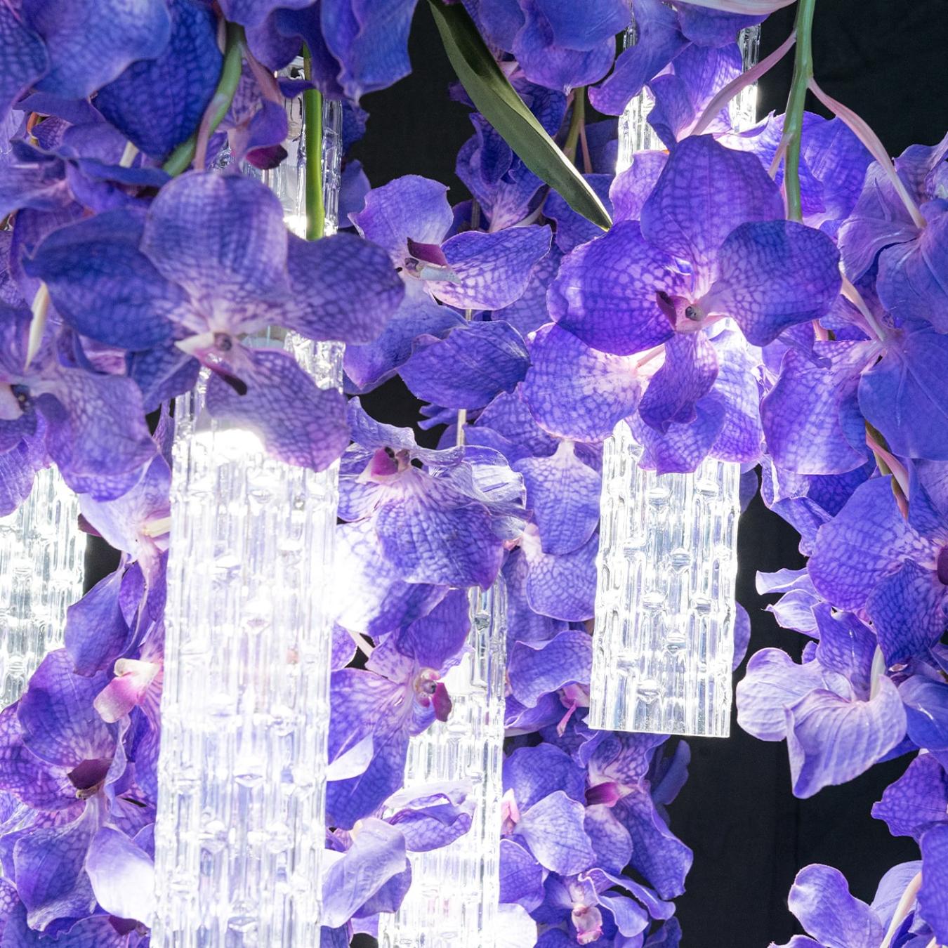 Vanda Large Kronleuchter