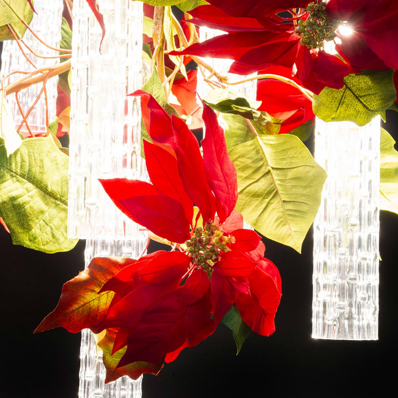 Poinsettia Kronleuchter