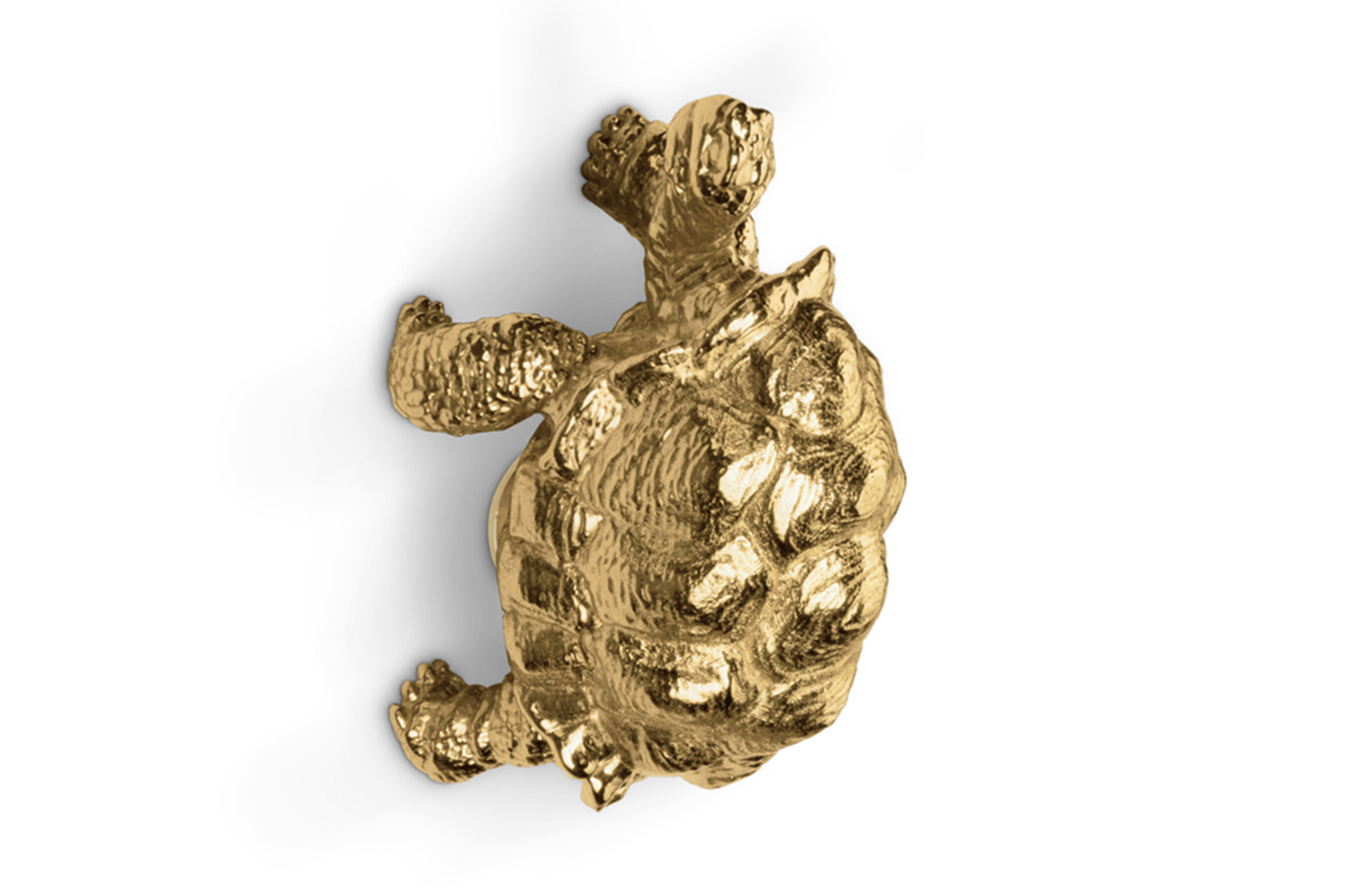 Schildkröten‑Griff