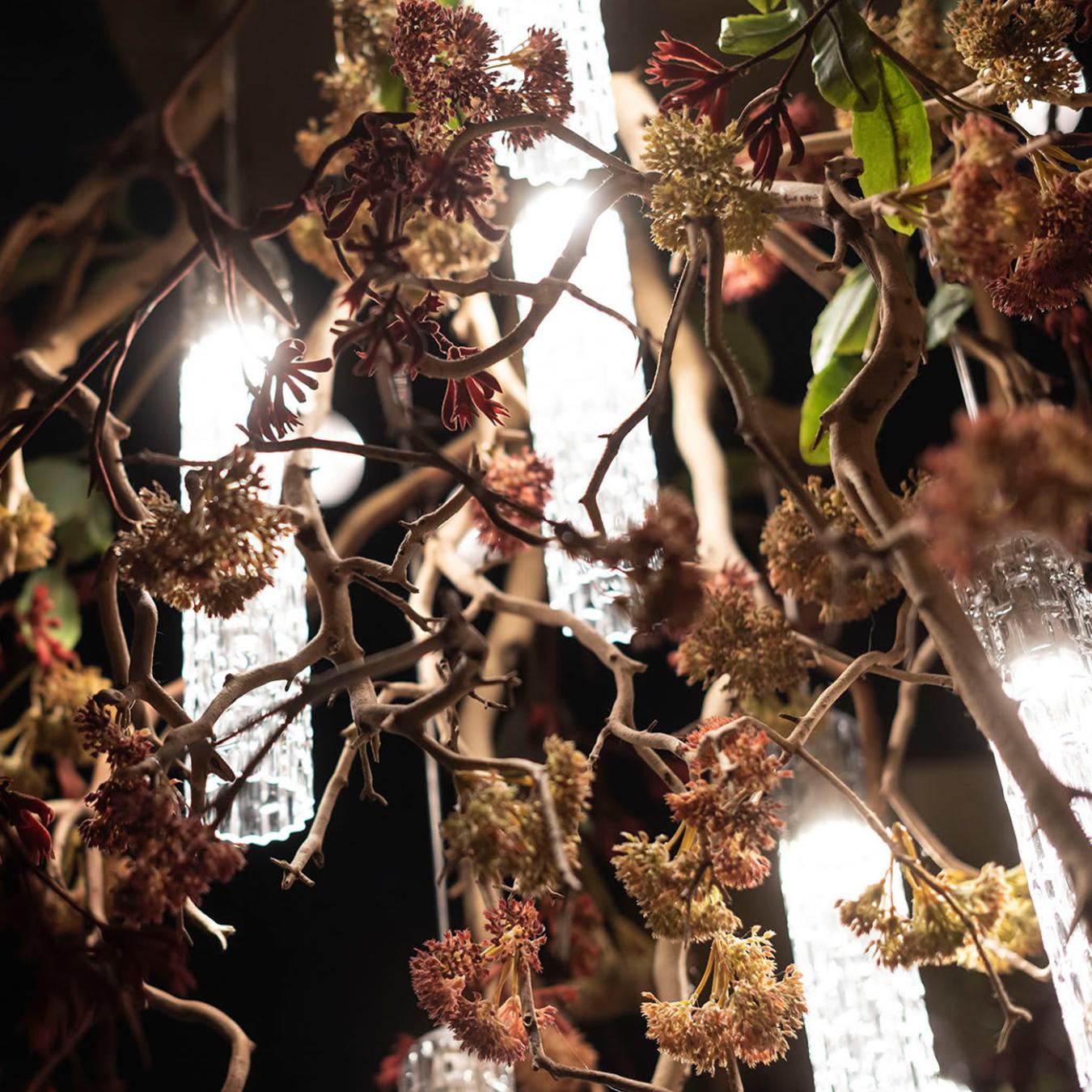 Manzanita Kronleuchter