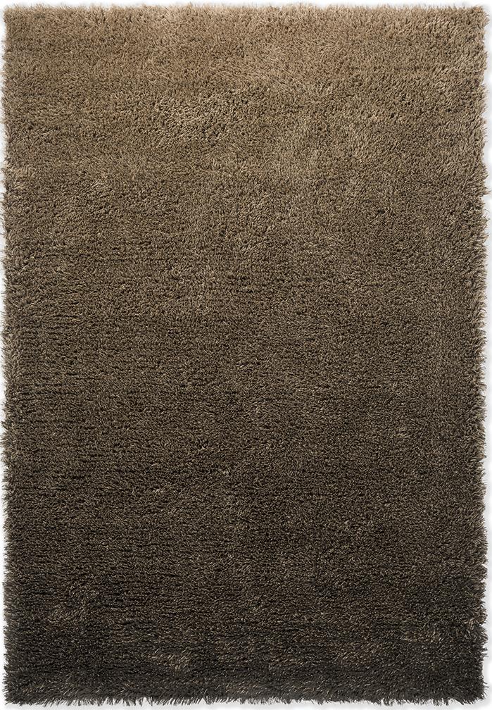 Shade High Beige/Dunkle Schokolade 011901 Teppich | Größe: 200 x 300 cm