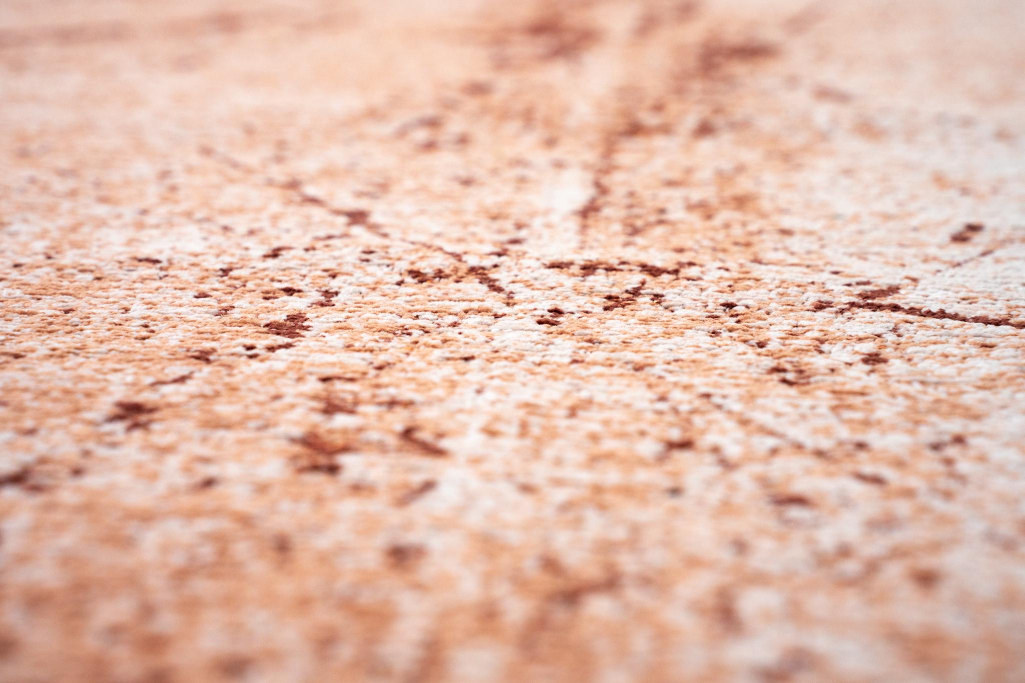 Tandoori 9774 Teppich | Größe: 140 x 200 cm