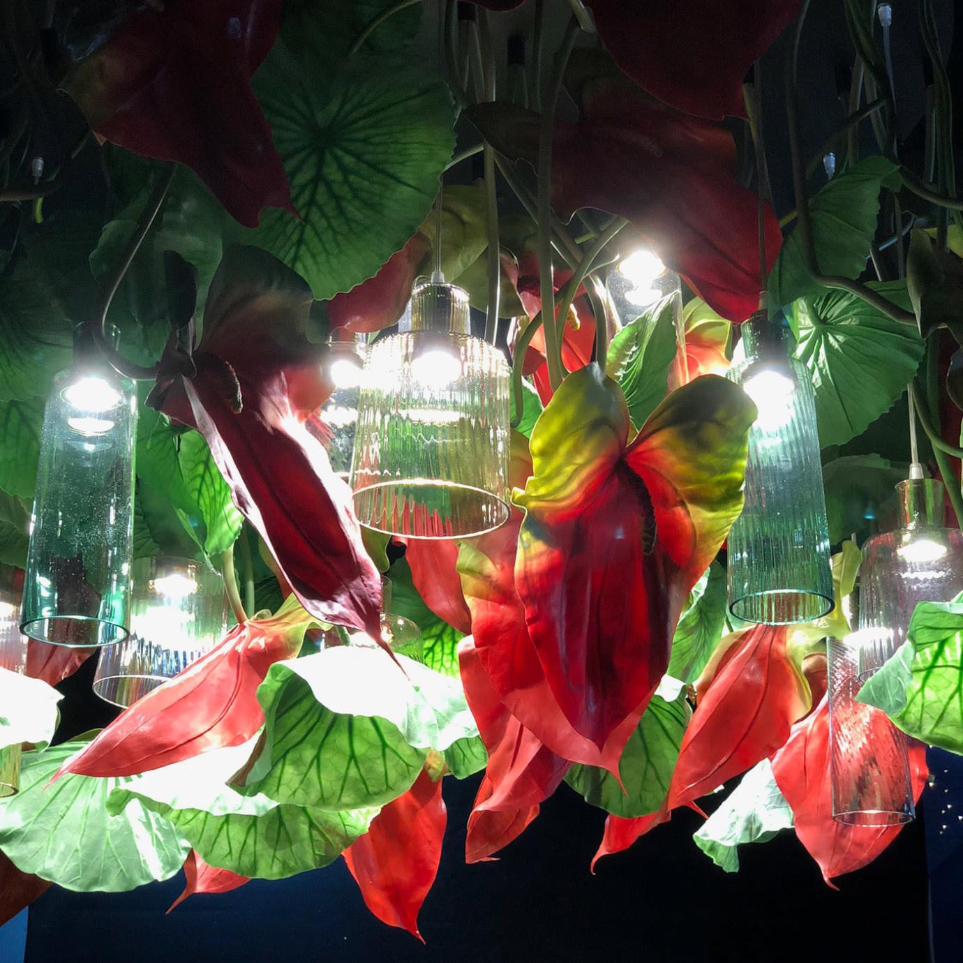Anthurium Kronleuchter