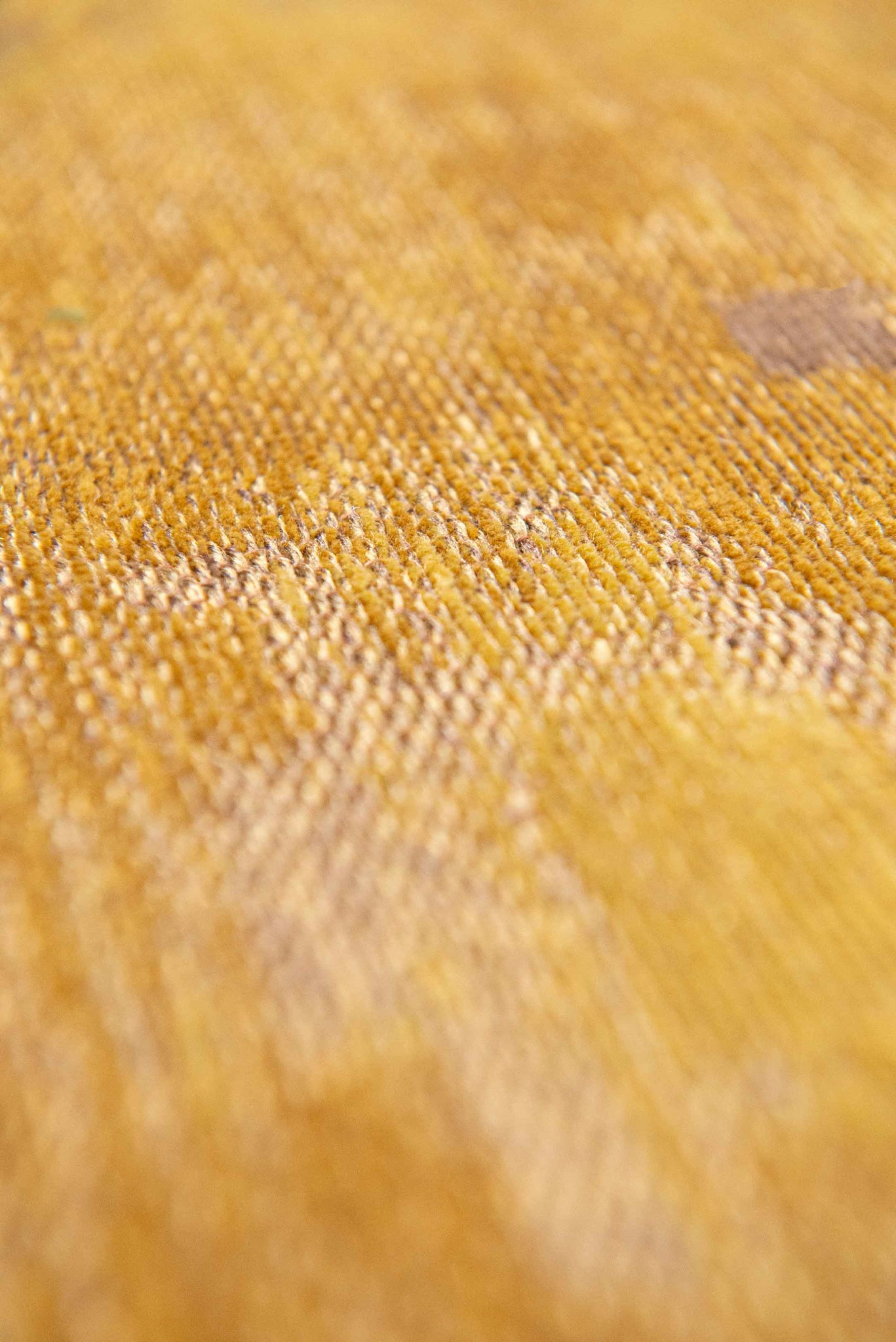 Venetian Dust - Rialto Gold 9235 Teppich | Größe: 170 x 240 cm