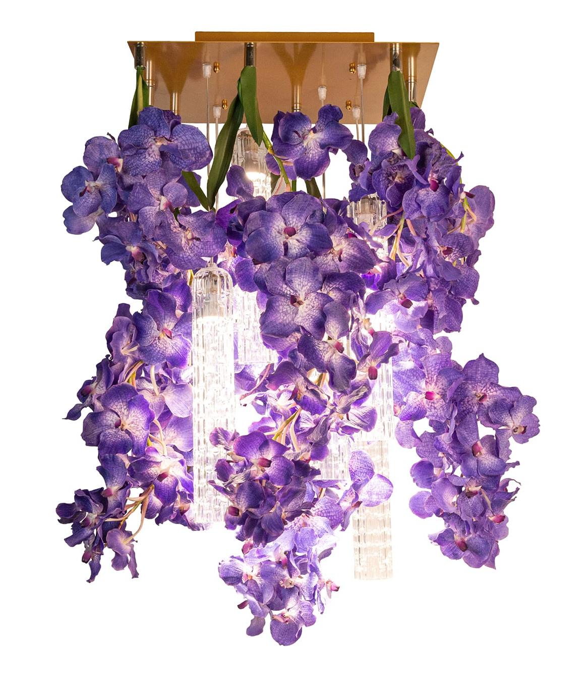 Vanda Square Kronleuchter