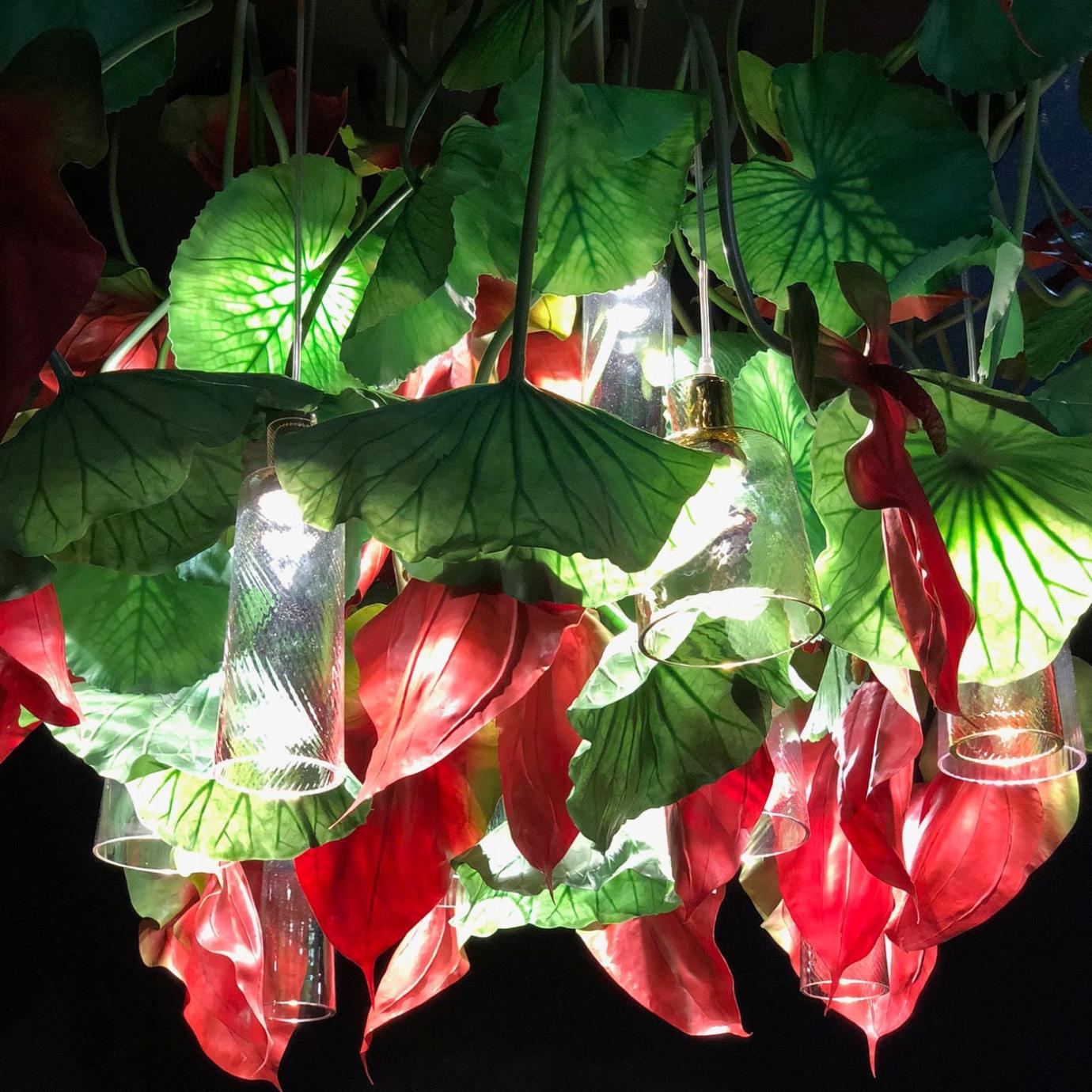 Anthurium Kronleuchter