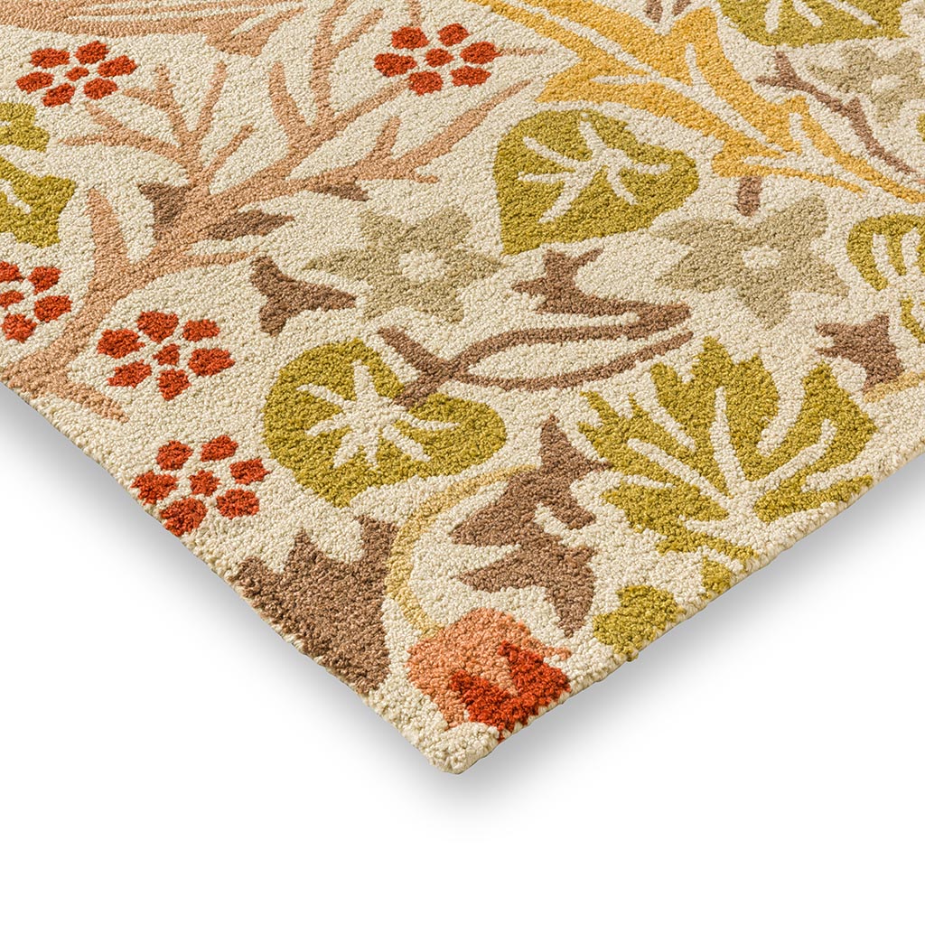 Blackthorn Wheat Outdoor-Teppich | Größe: 140 x 200 cm