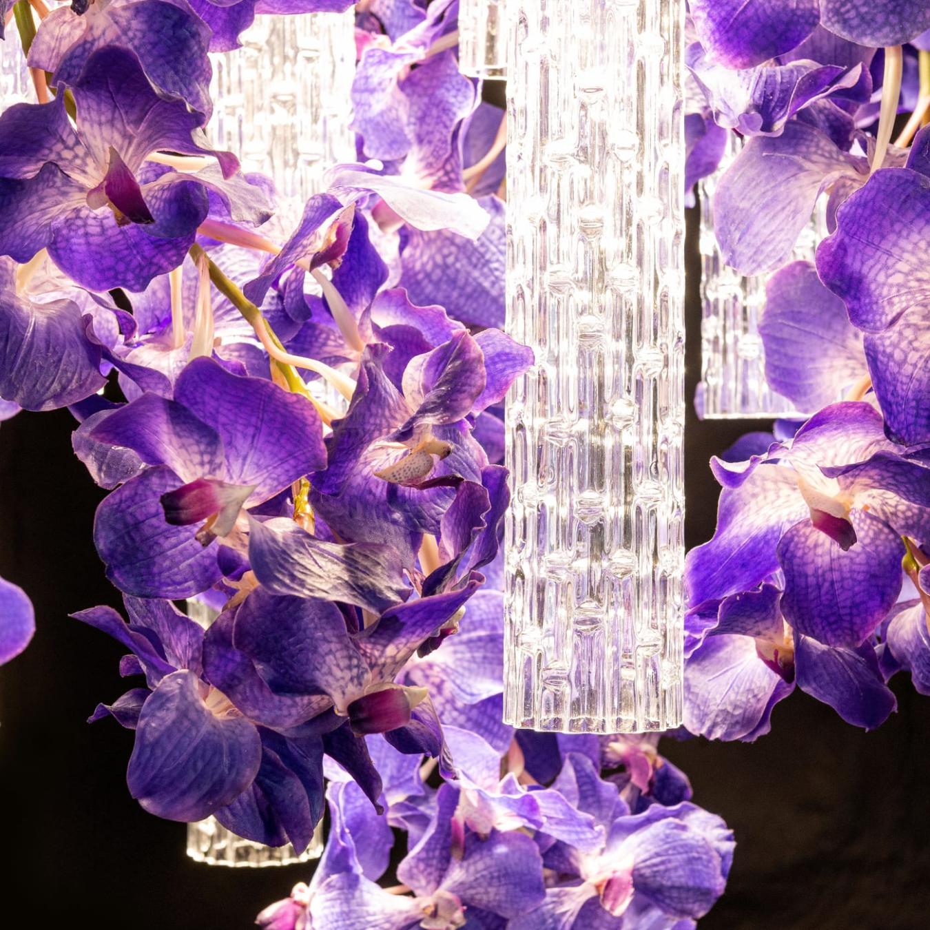 Vanda Square Kronleuchter