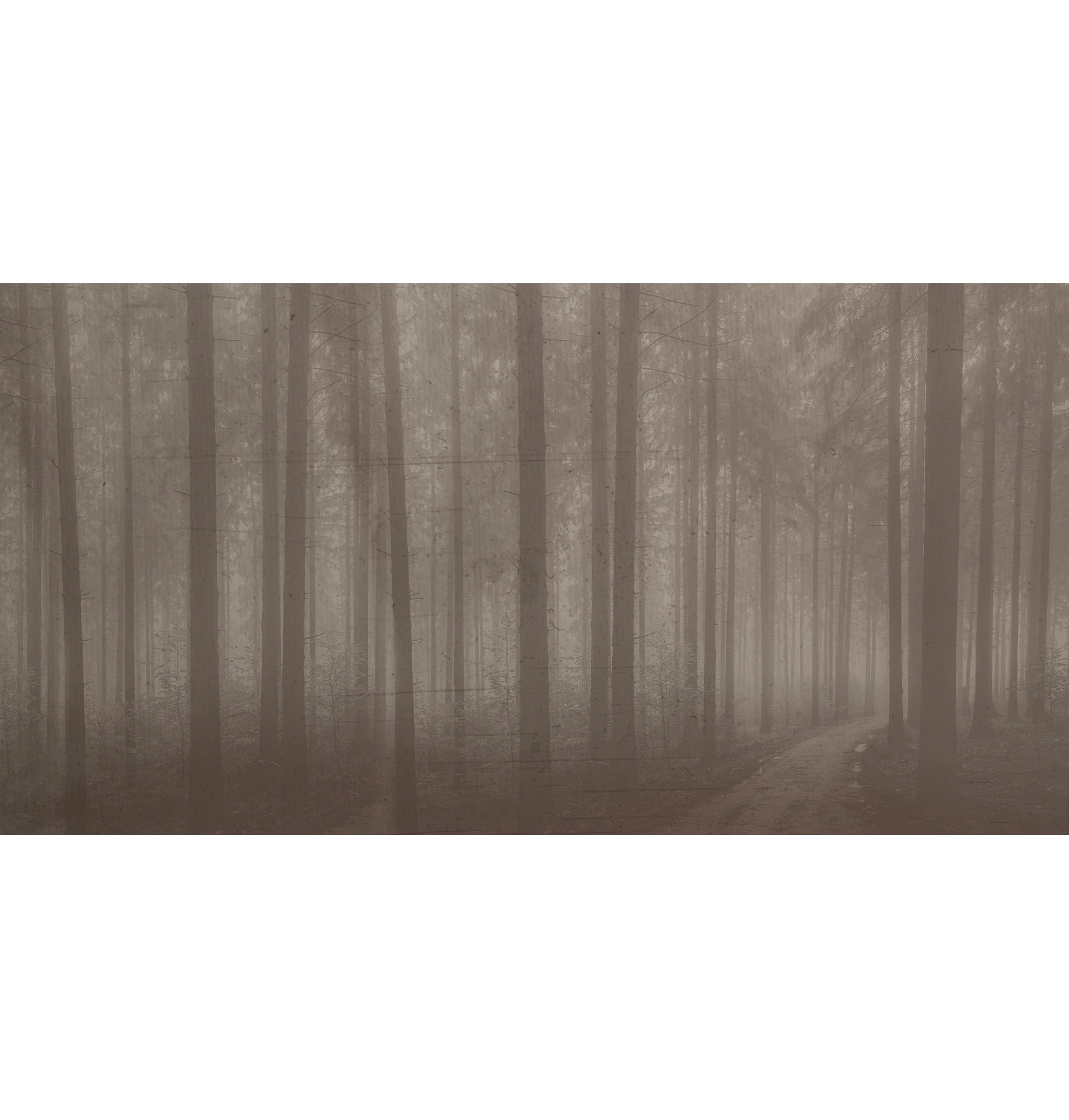 Night Forest Tapete