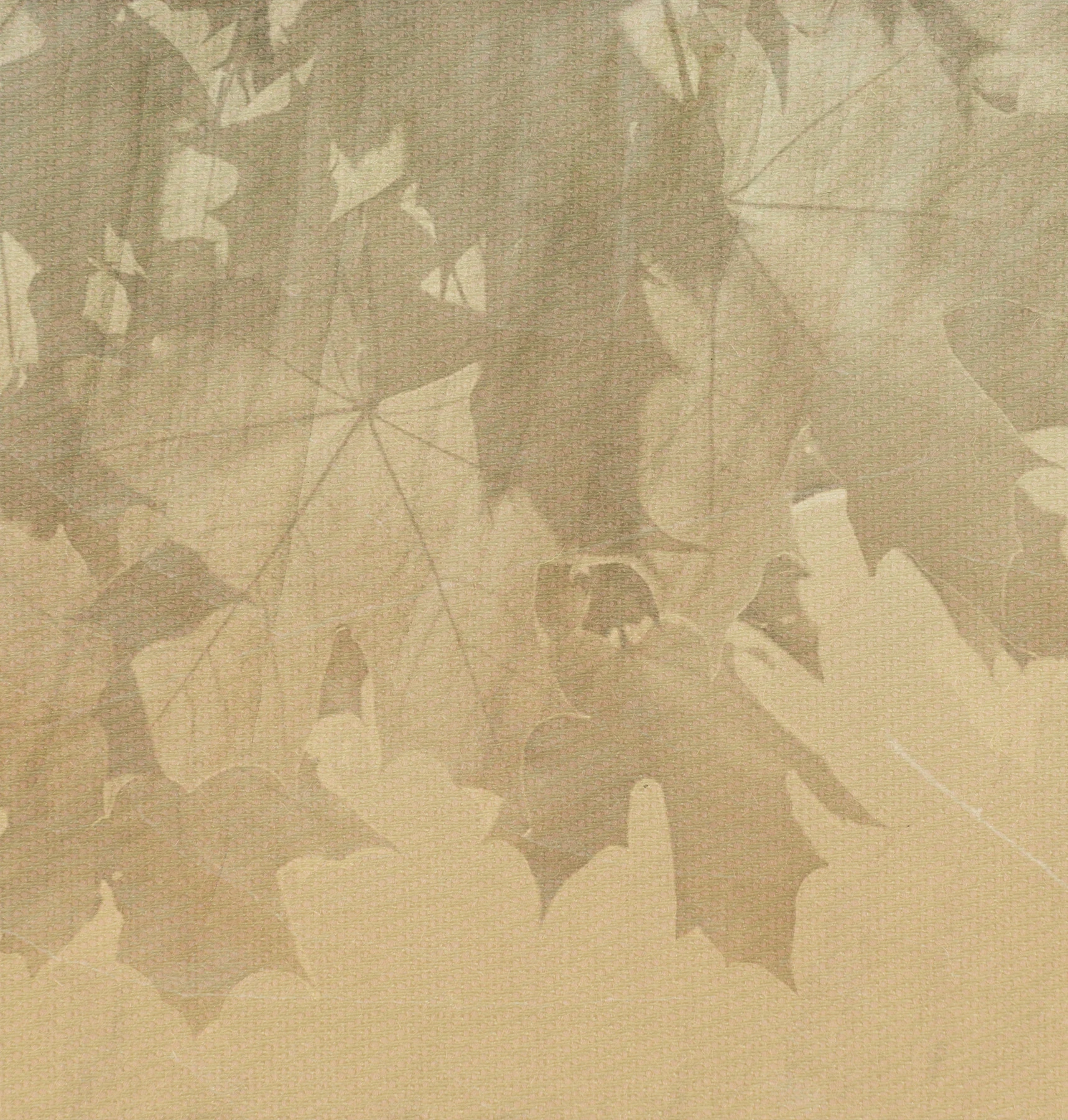 Creative Leaves Tapete