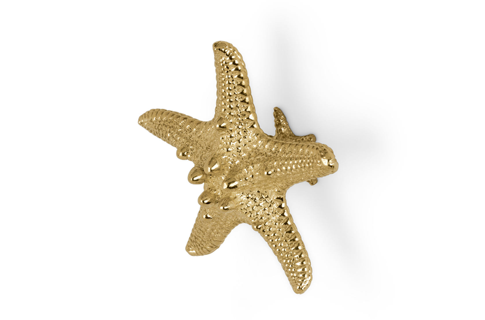 Seestern Linckia‑Griff