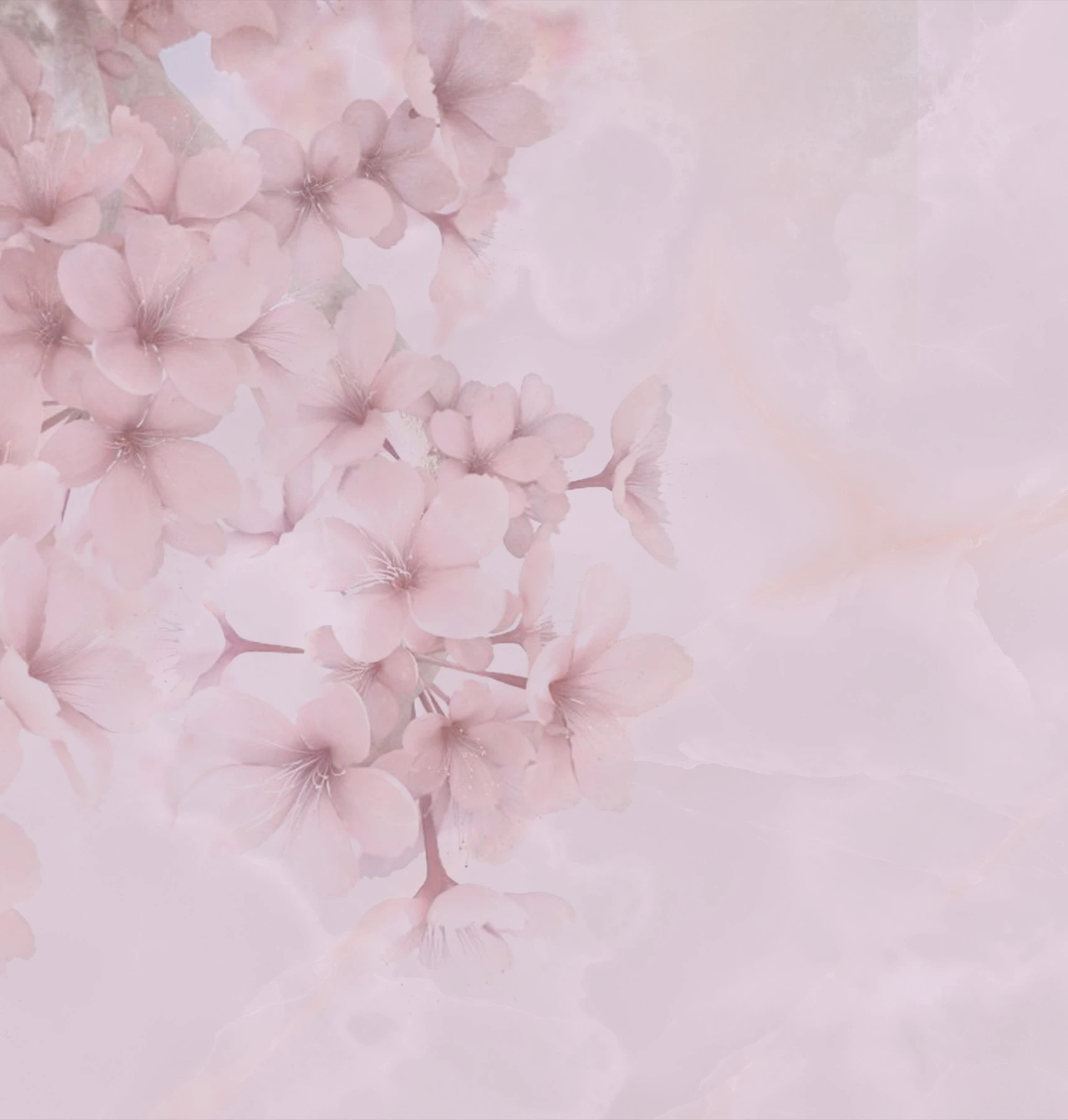 Bloom Tapete