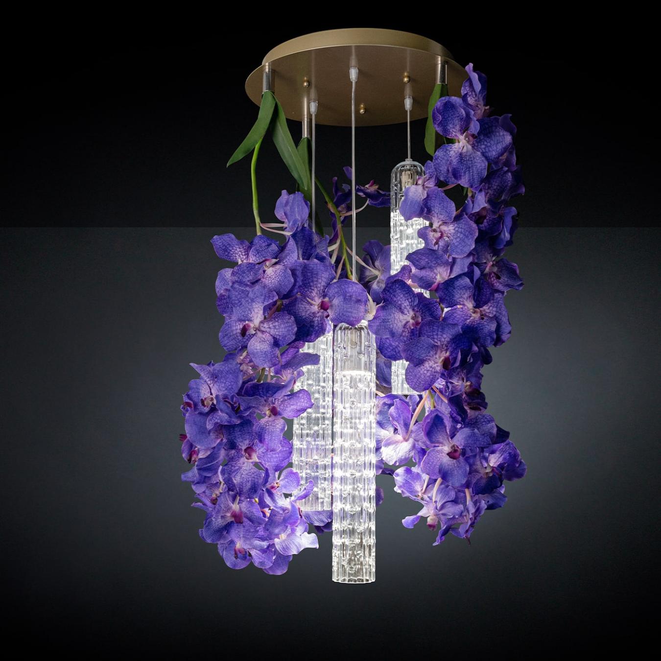 Vanda Small Kronleuchter