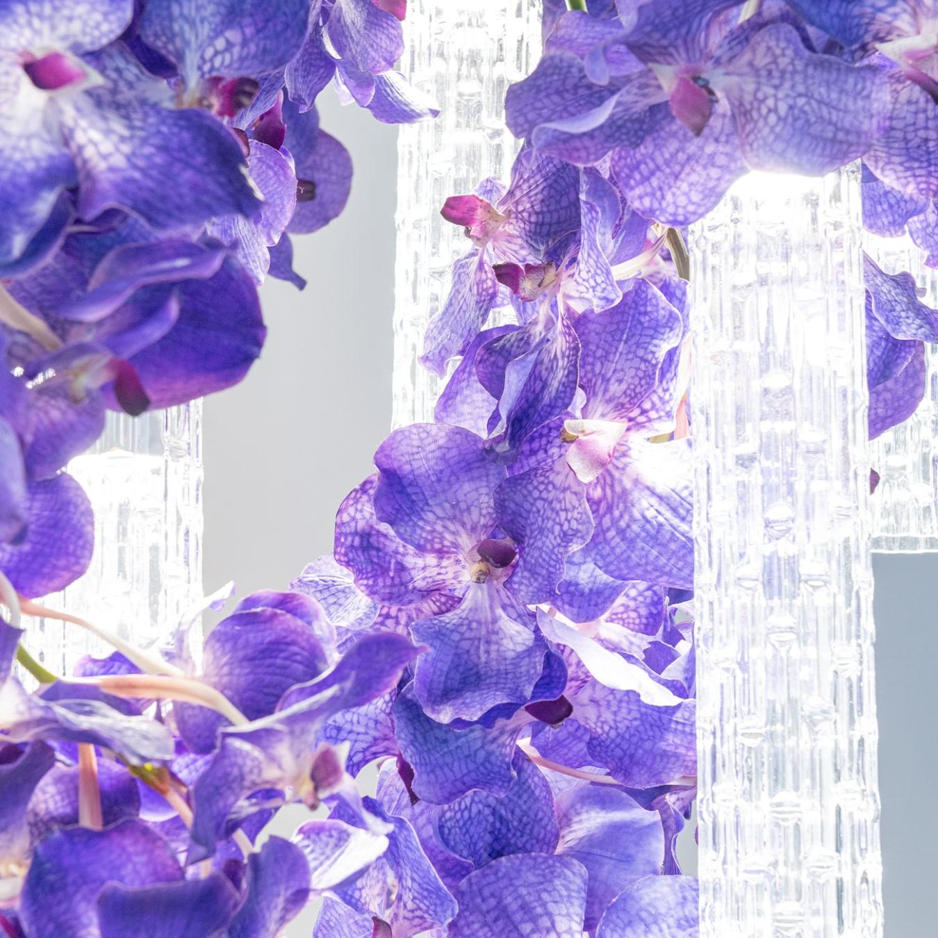 Vanda Large Kronleuchter