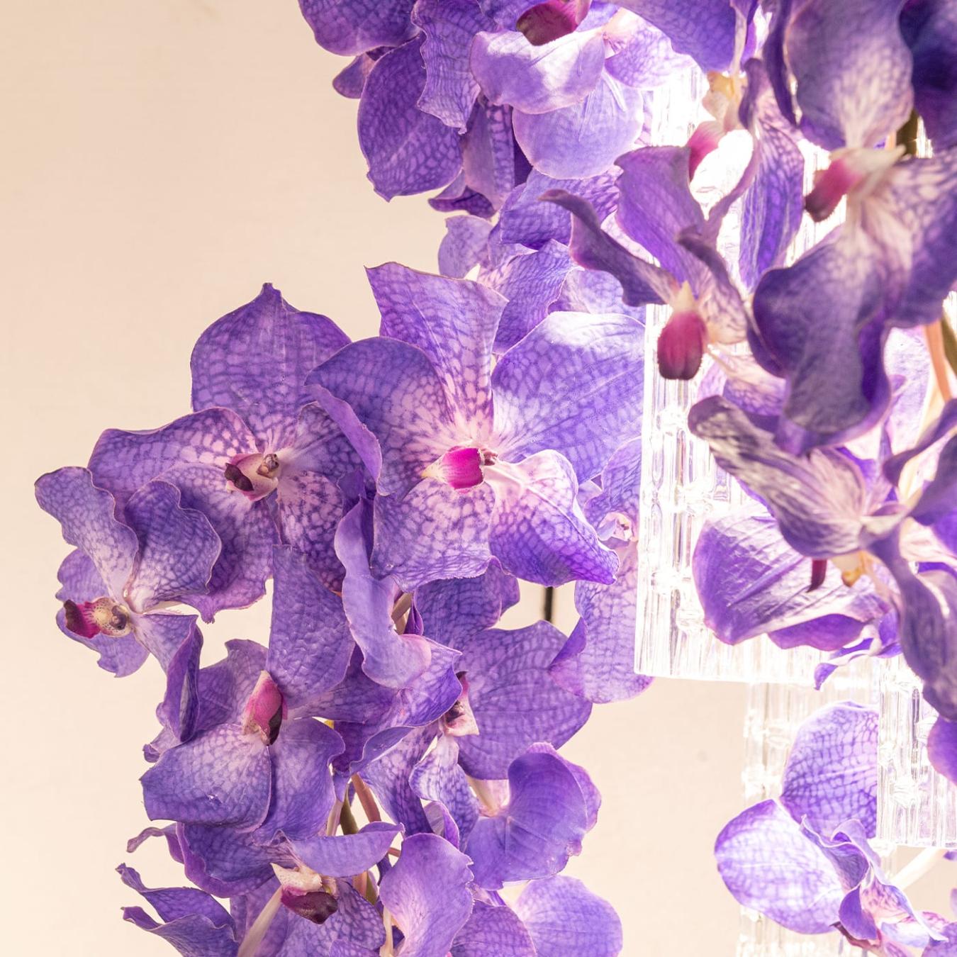 Vanda Square Kronleuchter