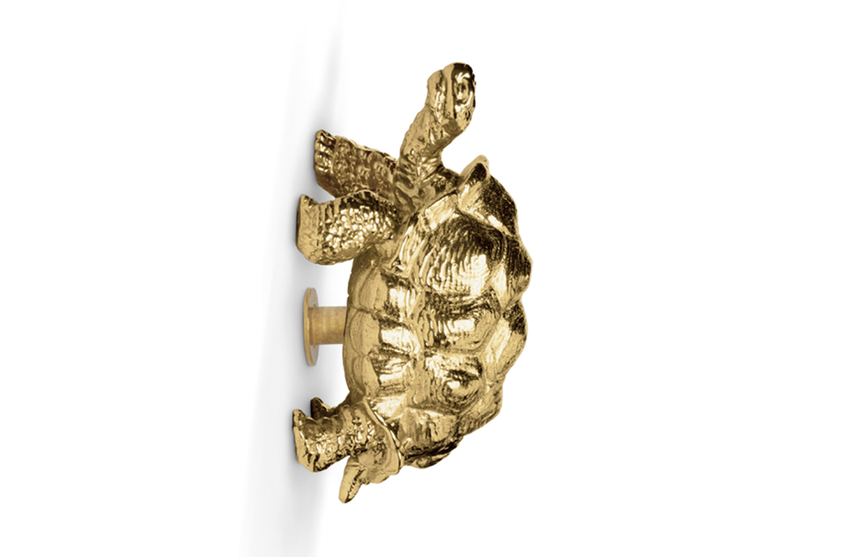 Schildkröten‑Griff