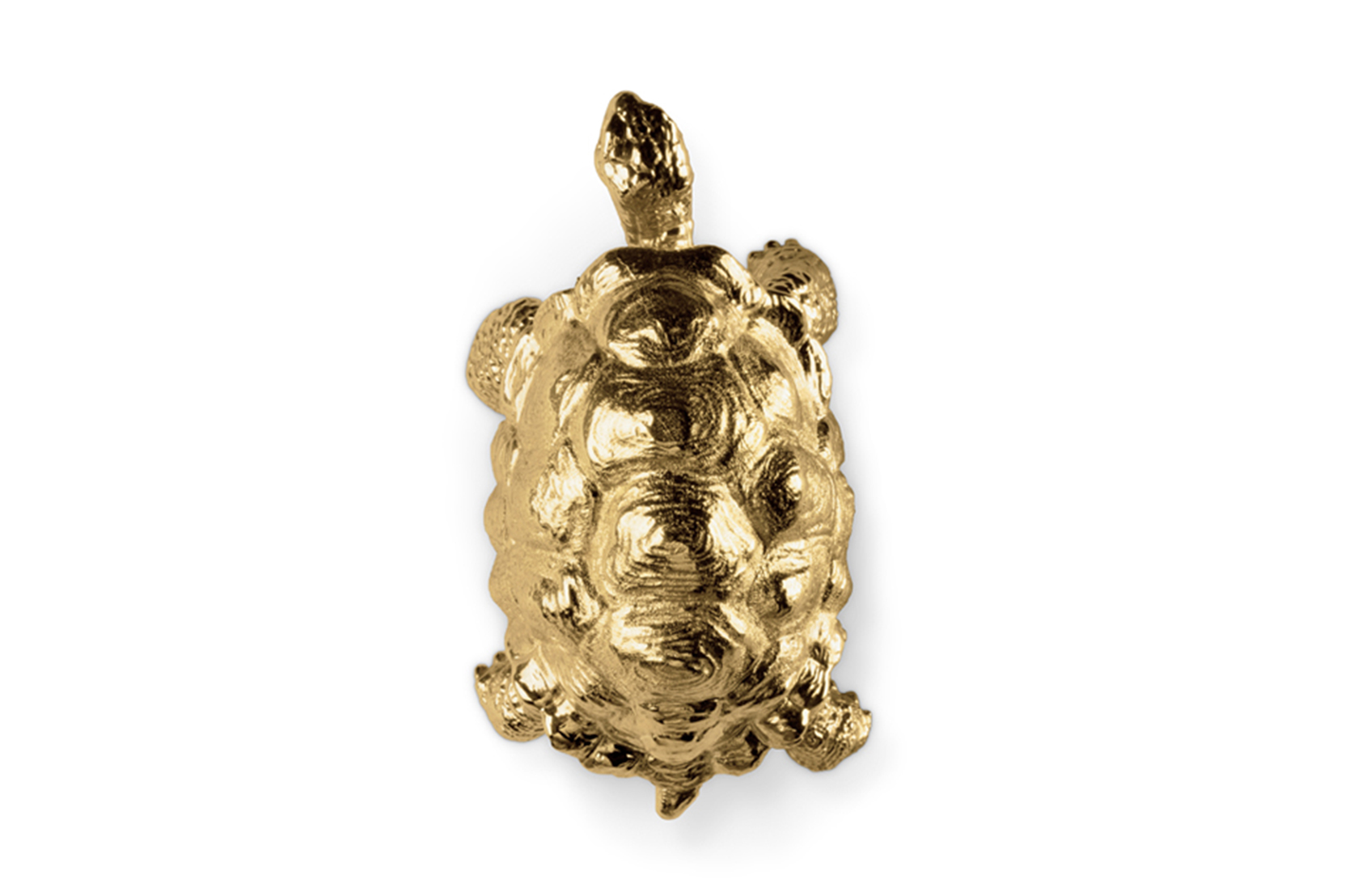 Schildkröten‑Griff