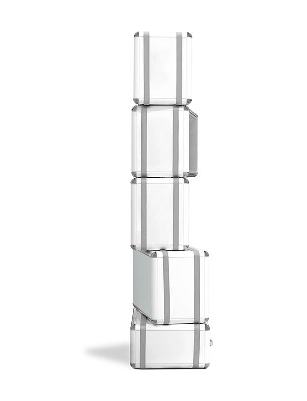 Airborne Fantasy Bücherregal