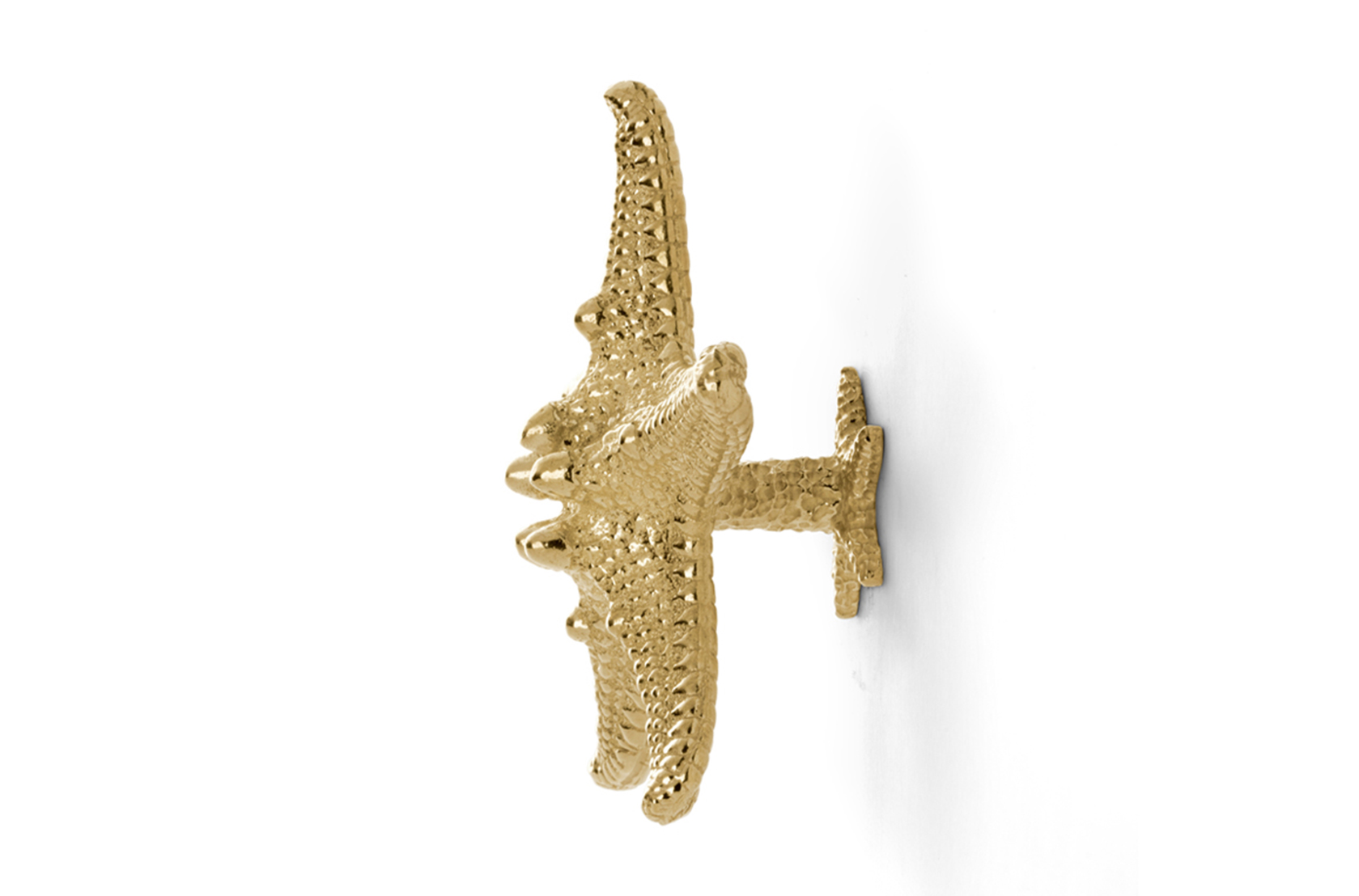 Seestern Linckia‑Griff