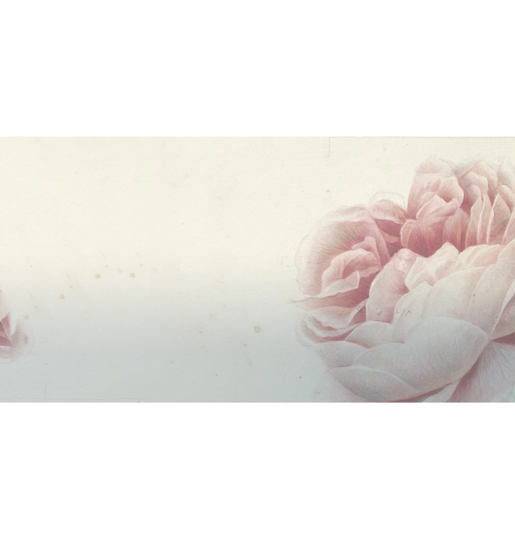 Romantic Flowers Tapete