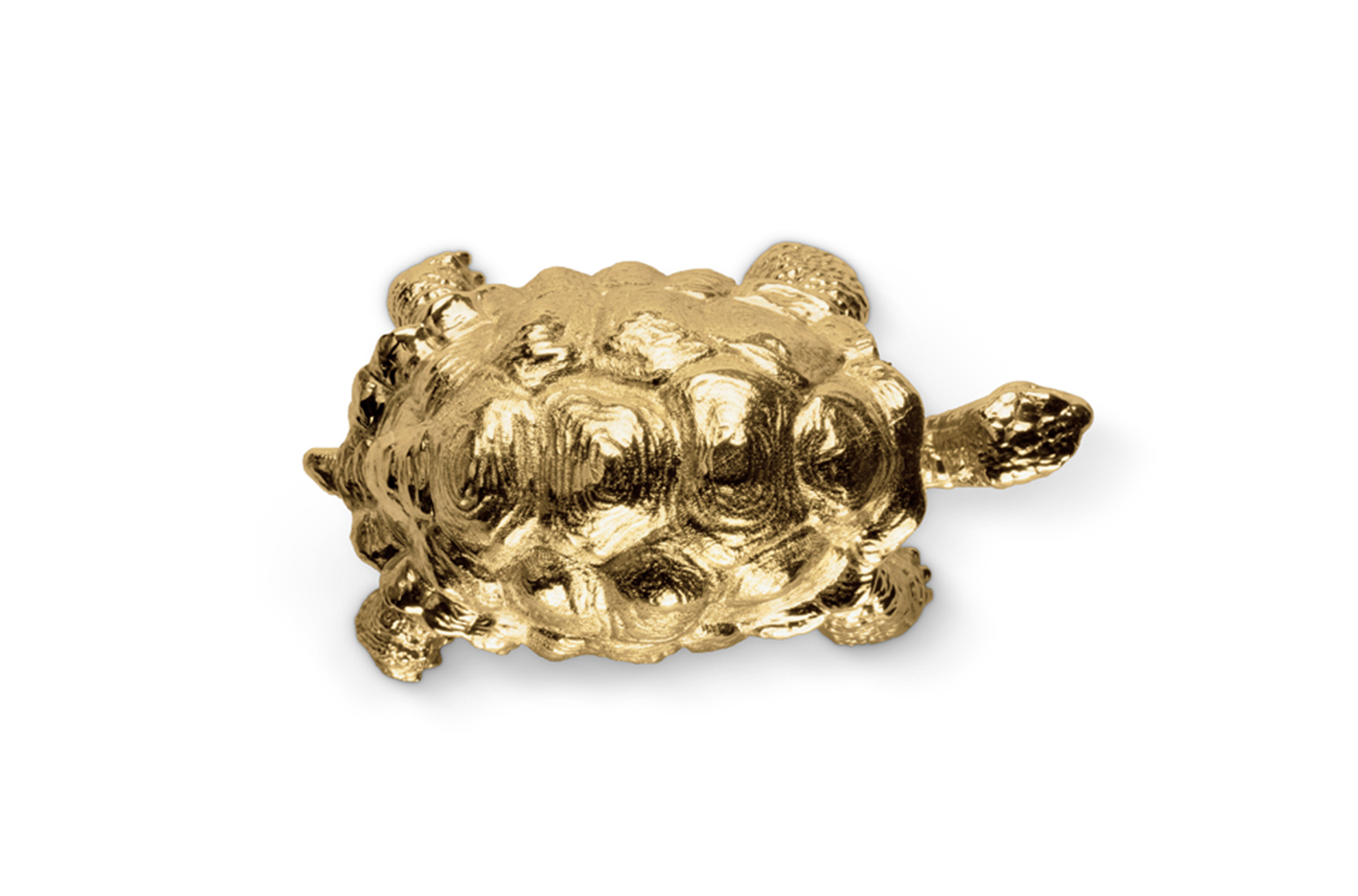 Schildkröten‑Griff