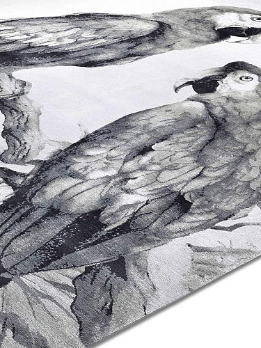 Two Parrots B&W auf Weiß Teppich