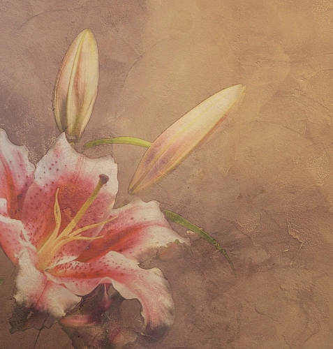 Amaryllis Tapete